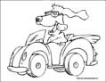 dog coloring page