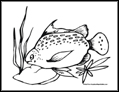 Fish Coloring Pages