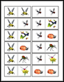 Printable Animal Dominoes Printable Animal Dominoes