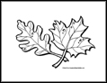 Leaves