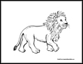 lion