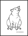 pig