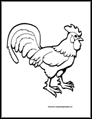 Rooster