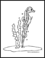 Seahorse