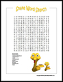 Snake Word Search