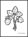 strawberries