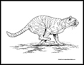 tiger