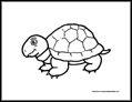 turtle