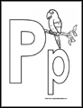 p is for Parrot