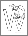 v is for Vulture