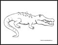 Aligator