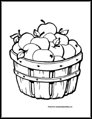 Apple Basket