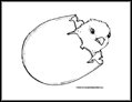 Chick