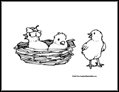 Chick