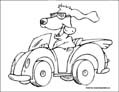 dog coloring page