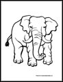 elephant