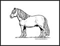 Horse Coloring Pages