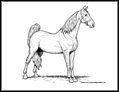 Horse Coloring Pages