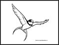 bird