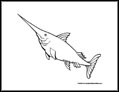 Swordfish